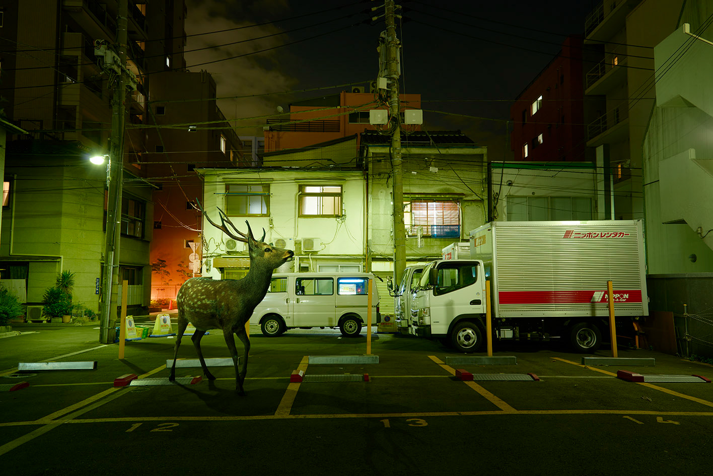 Tokyo #4