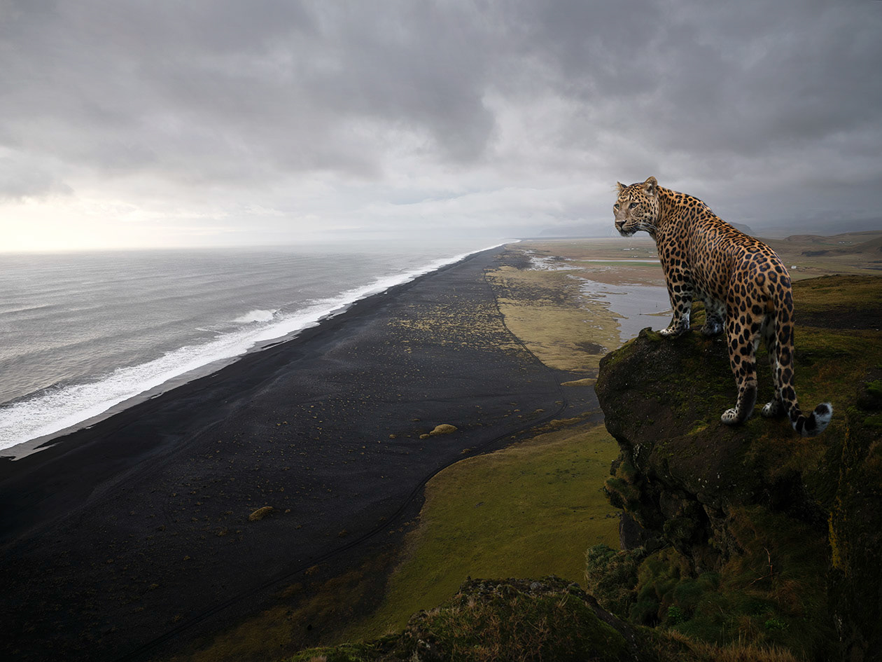 Islande #3