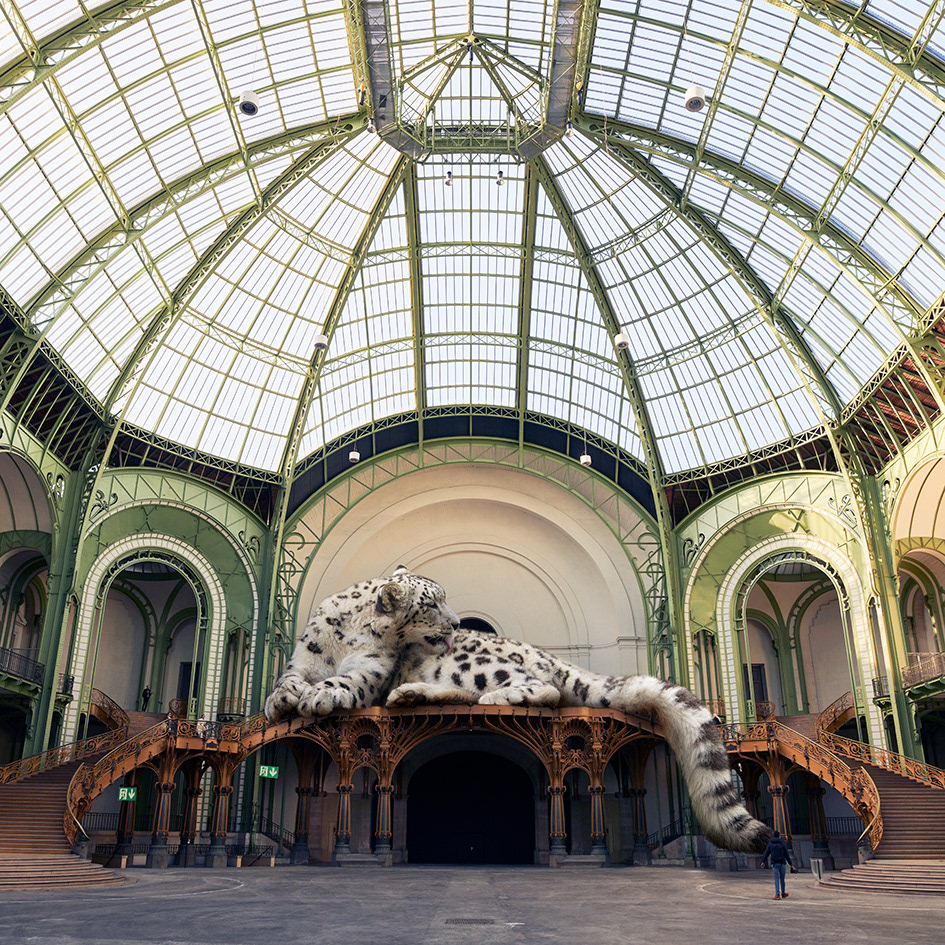 Grand Palais #1