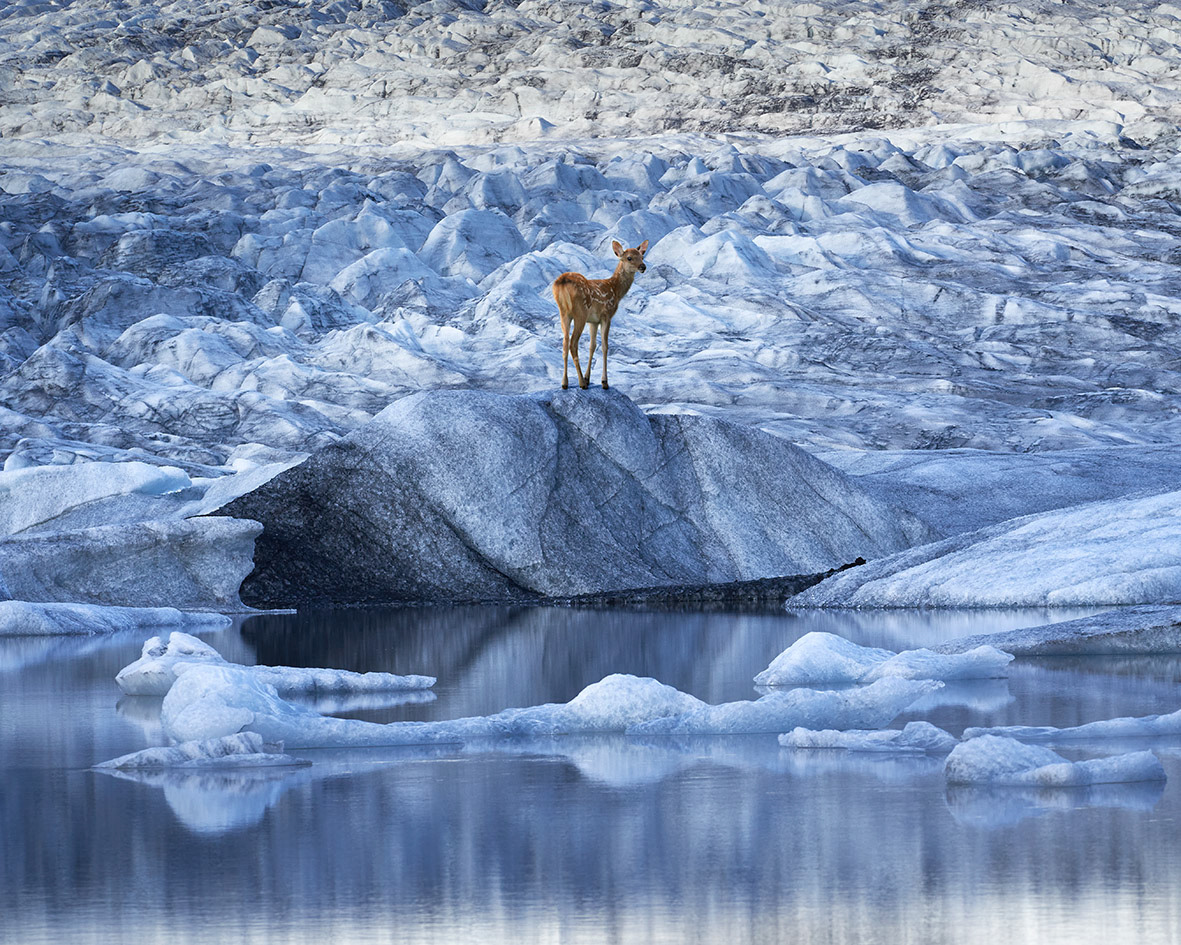 Islande #2