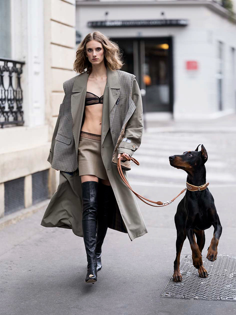 Girl Next Dog #1 Roy