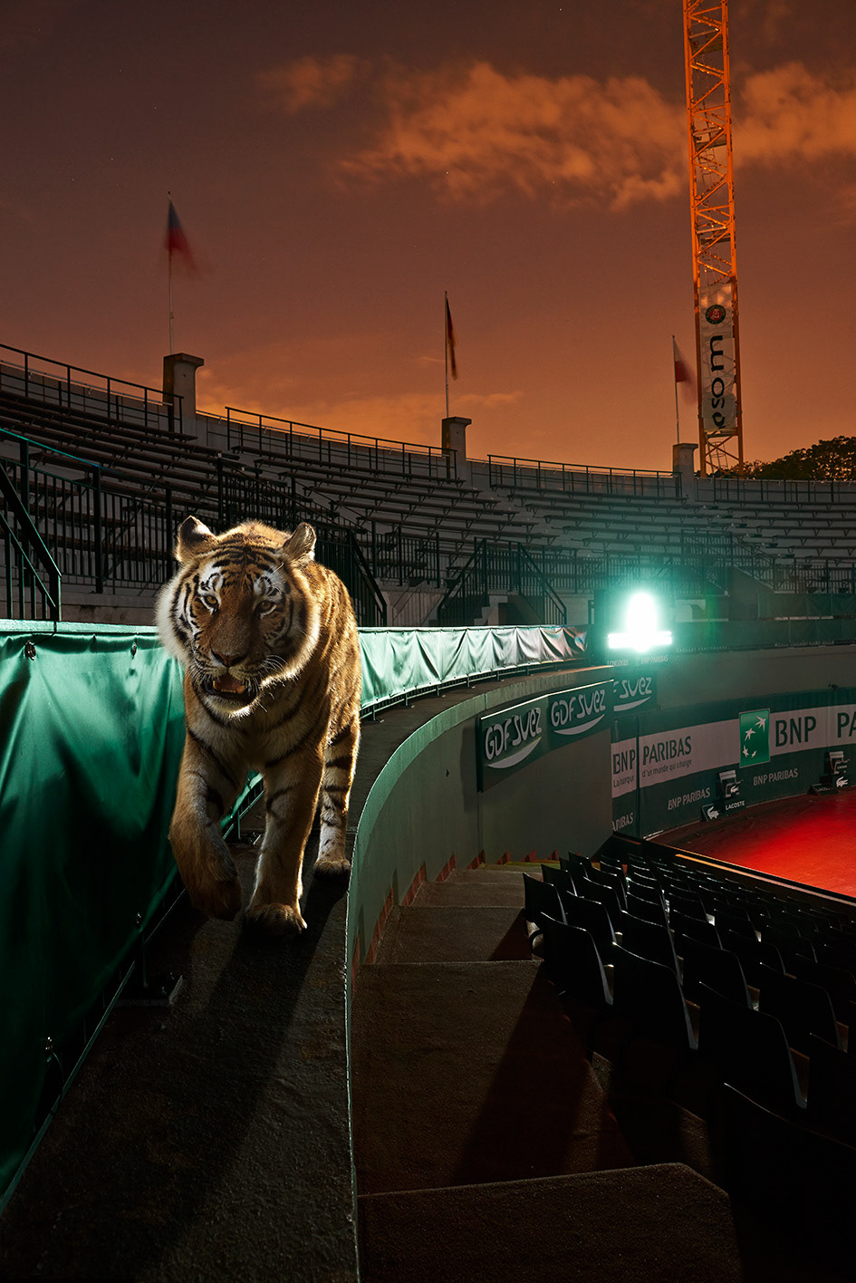 Roland Garros #1