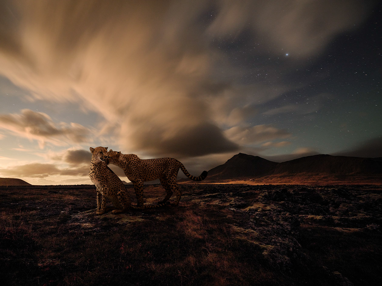 Islande #13