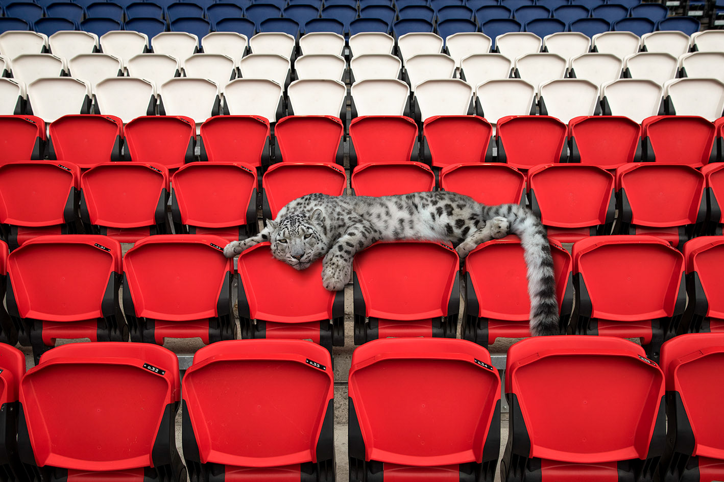 Parc des Princes #5