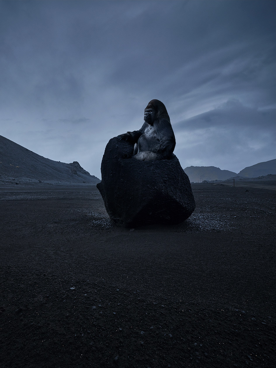 Islande #11