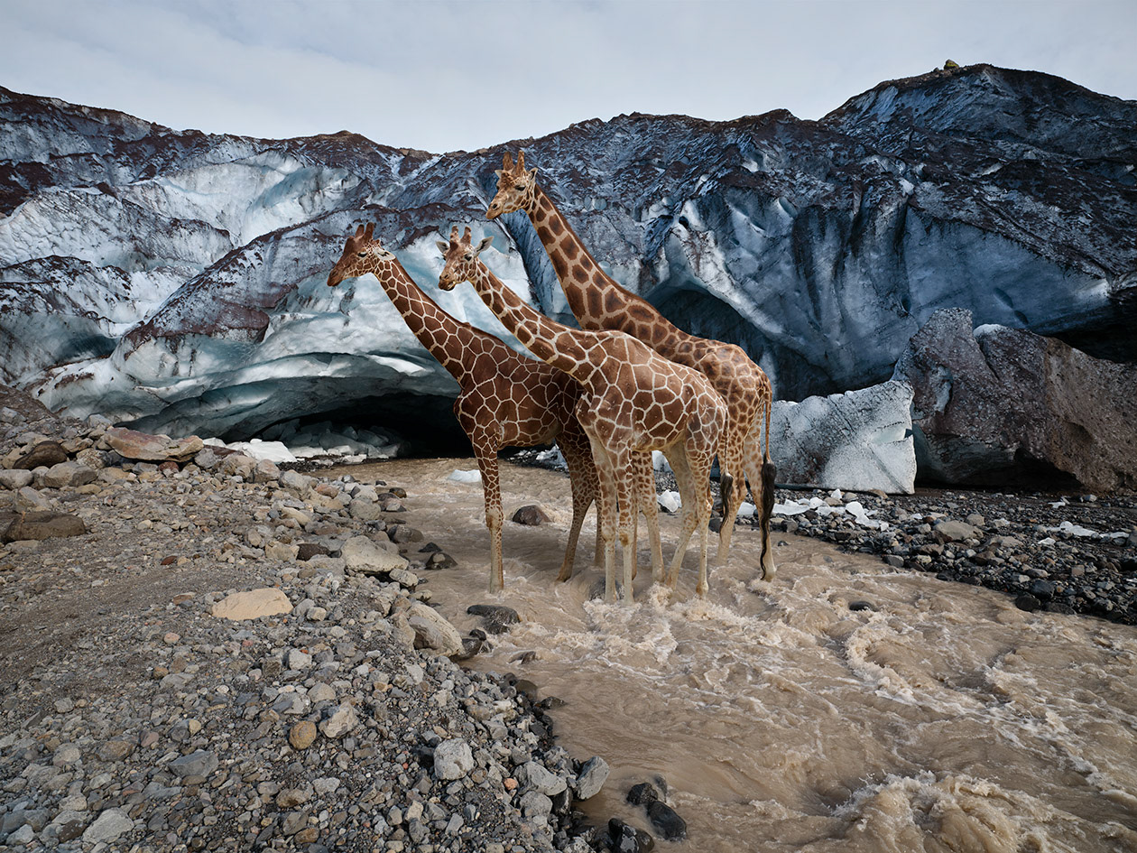 Islande #9