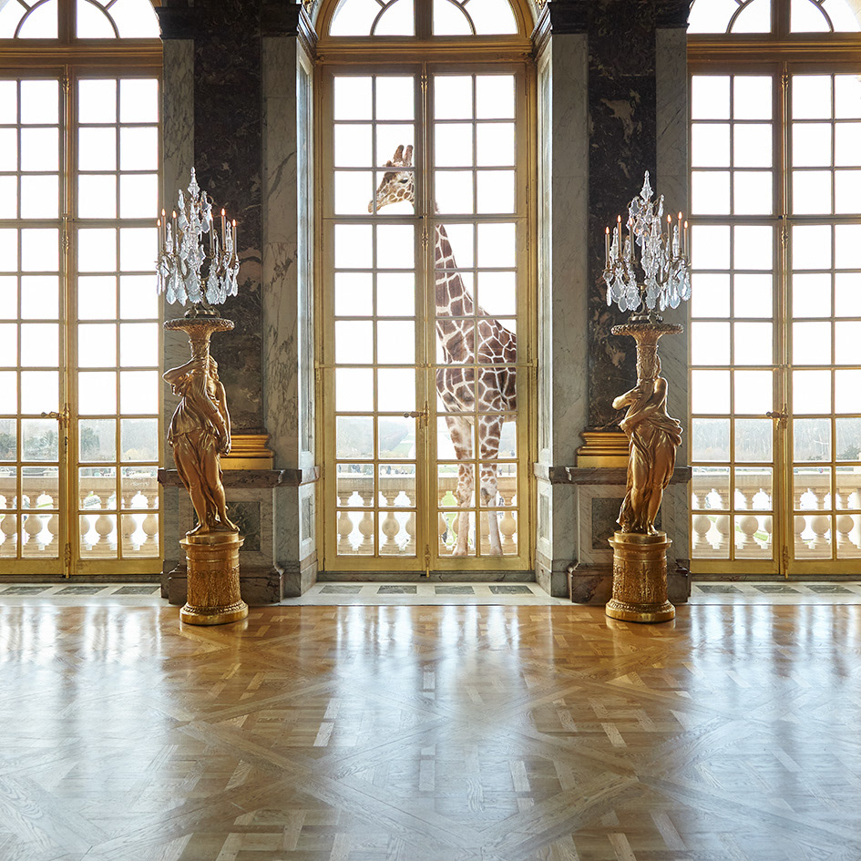 Versailles #2