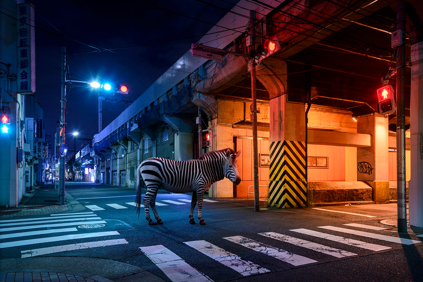 Tokyo #1