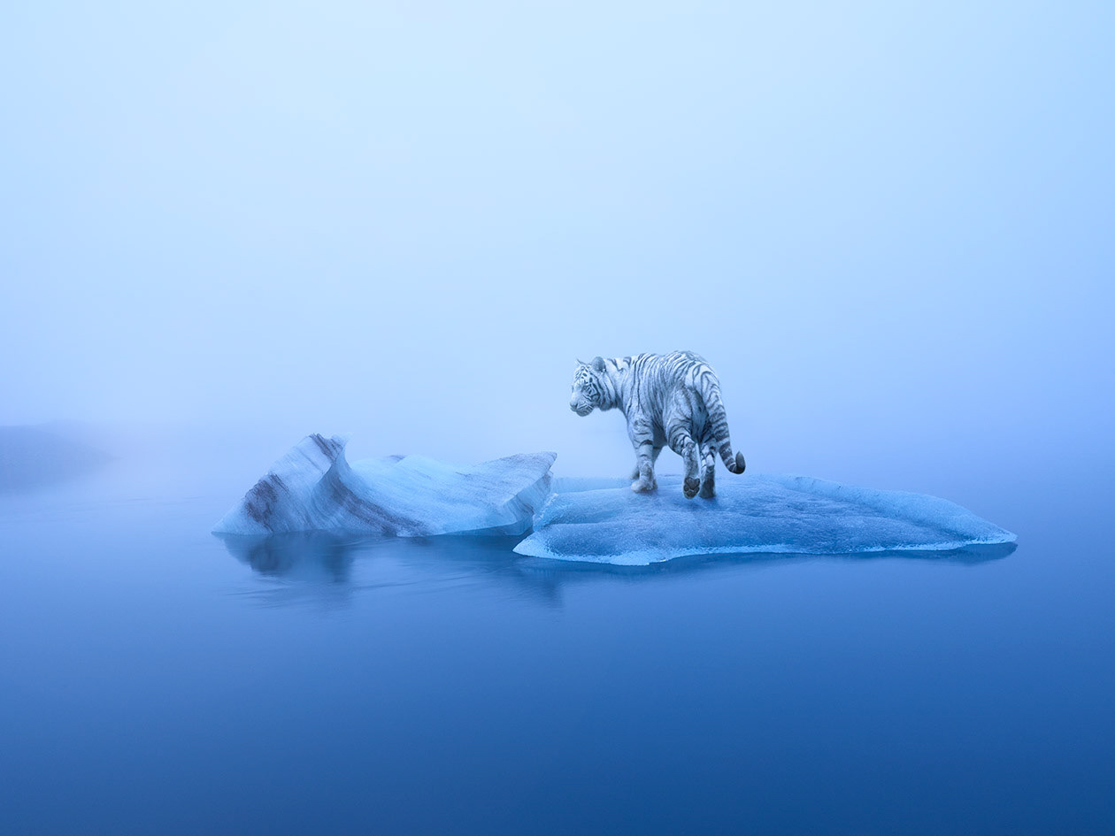 Islande #14