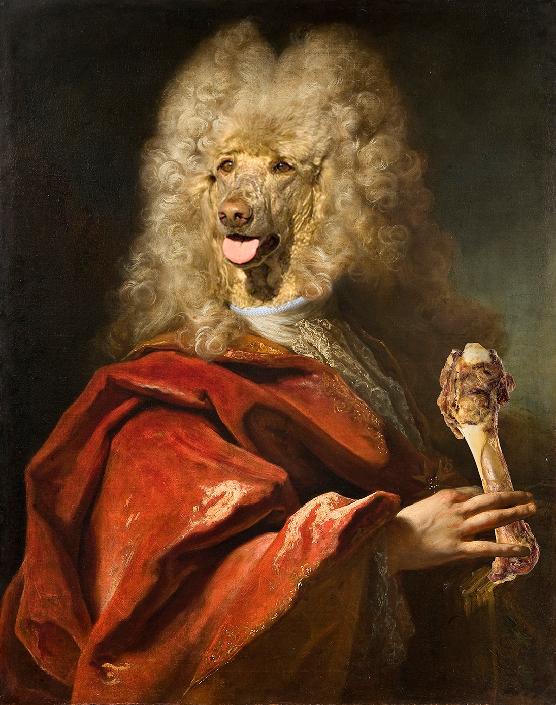 Portrait of a gentledog