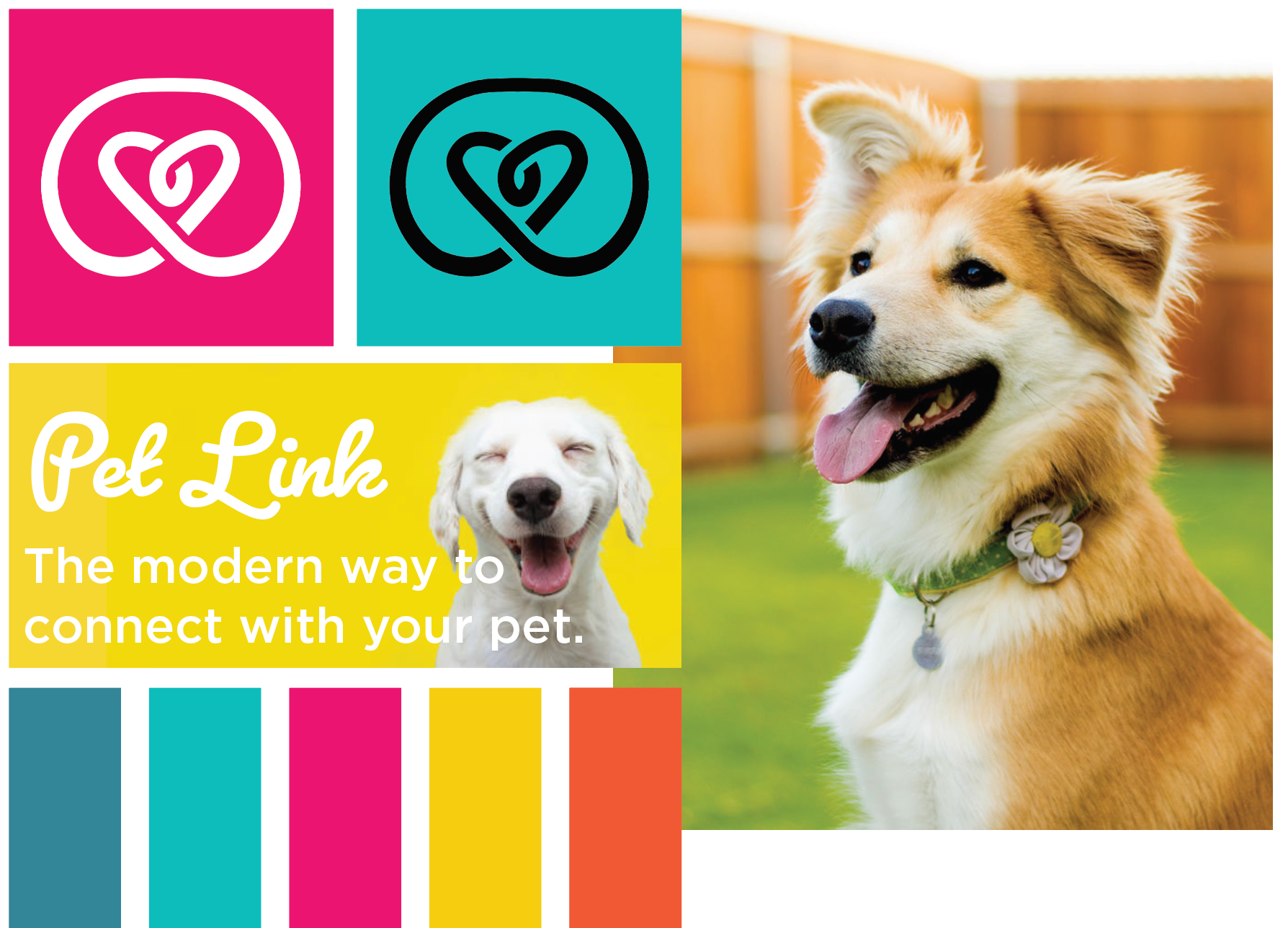 PetLink logo and moodboard
