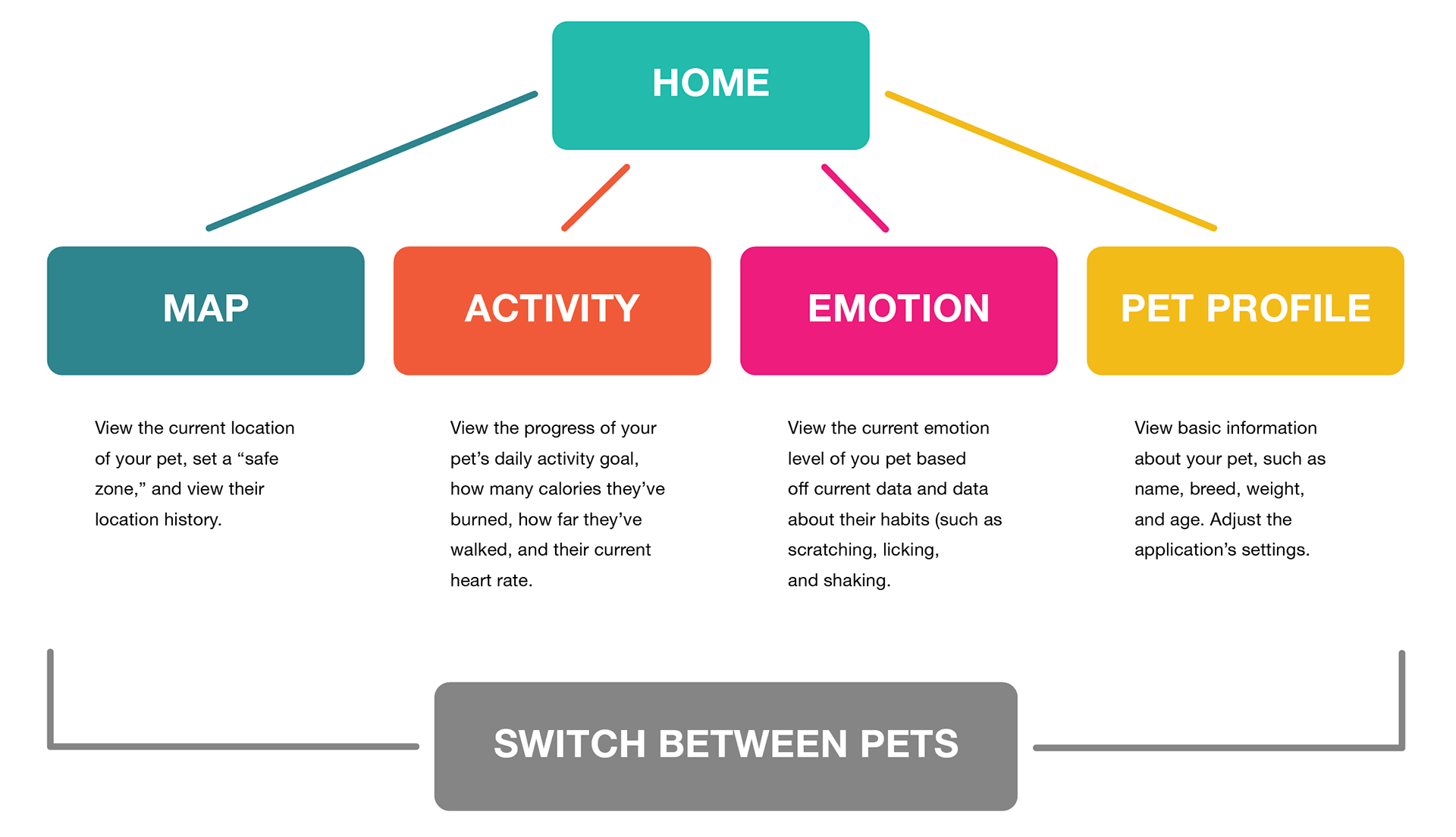 Information architecture