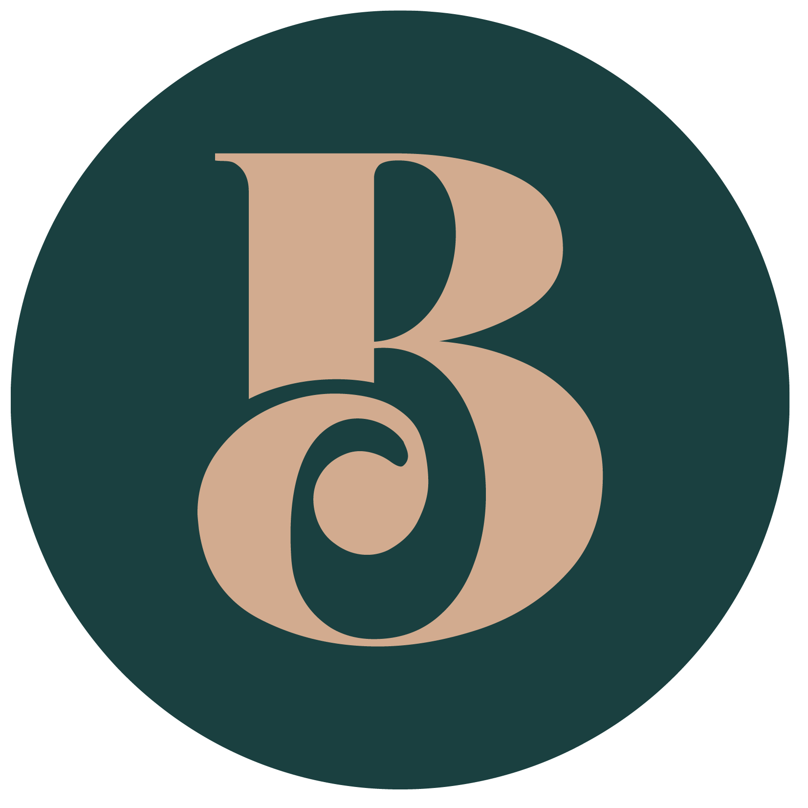 The Barnett Studio logo