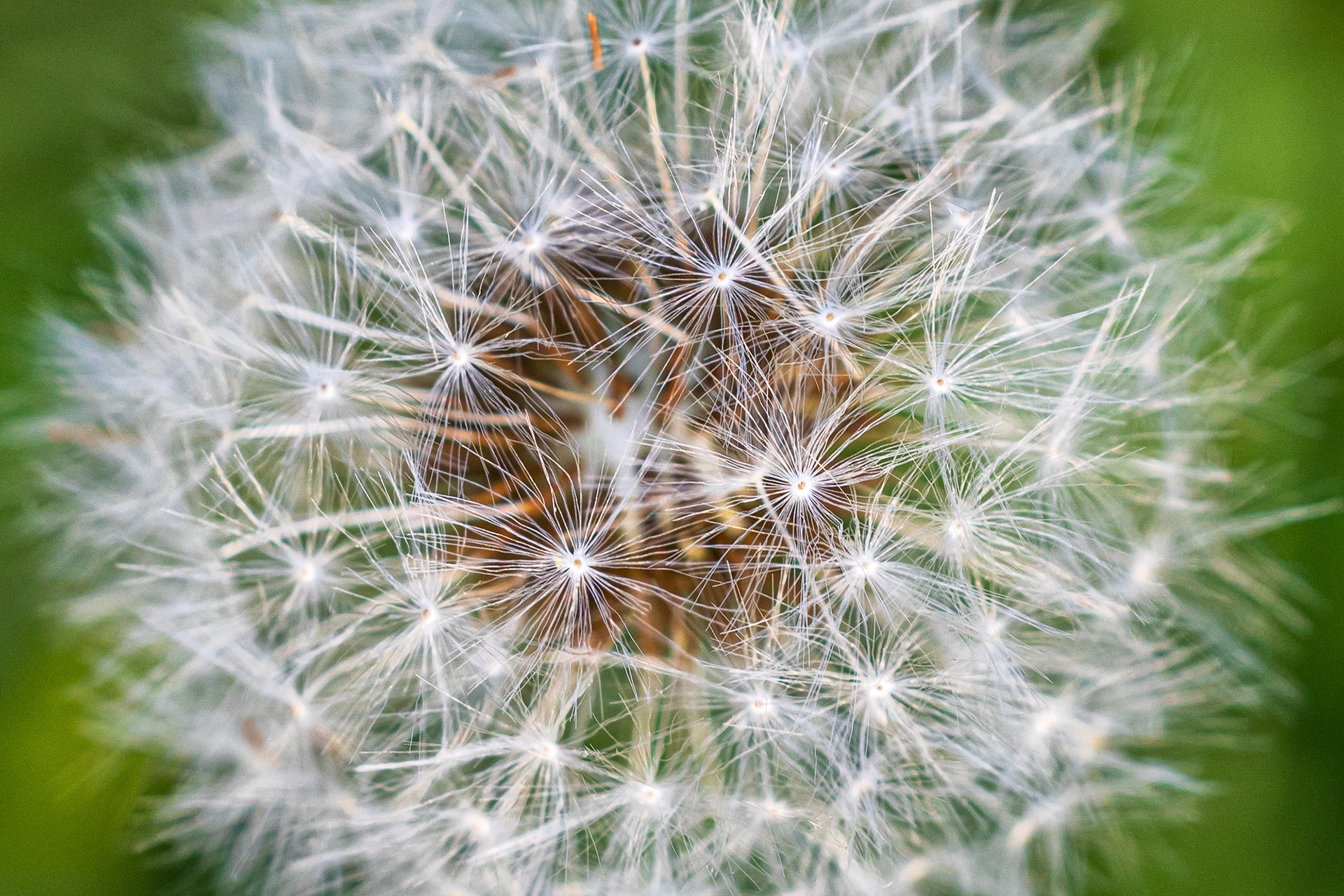Horticulture Center. Philadelphia, PA.