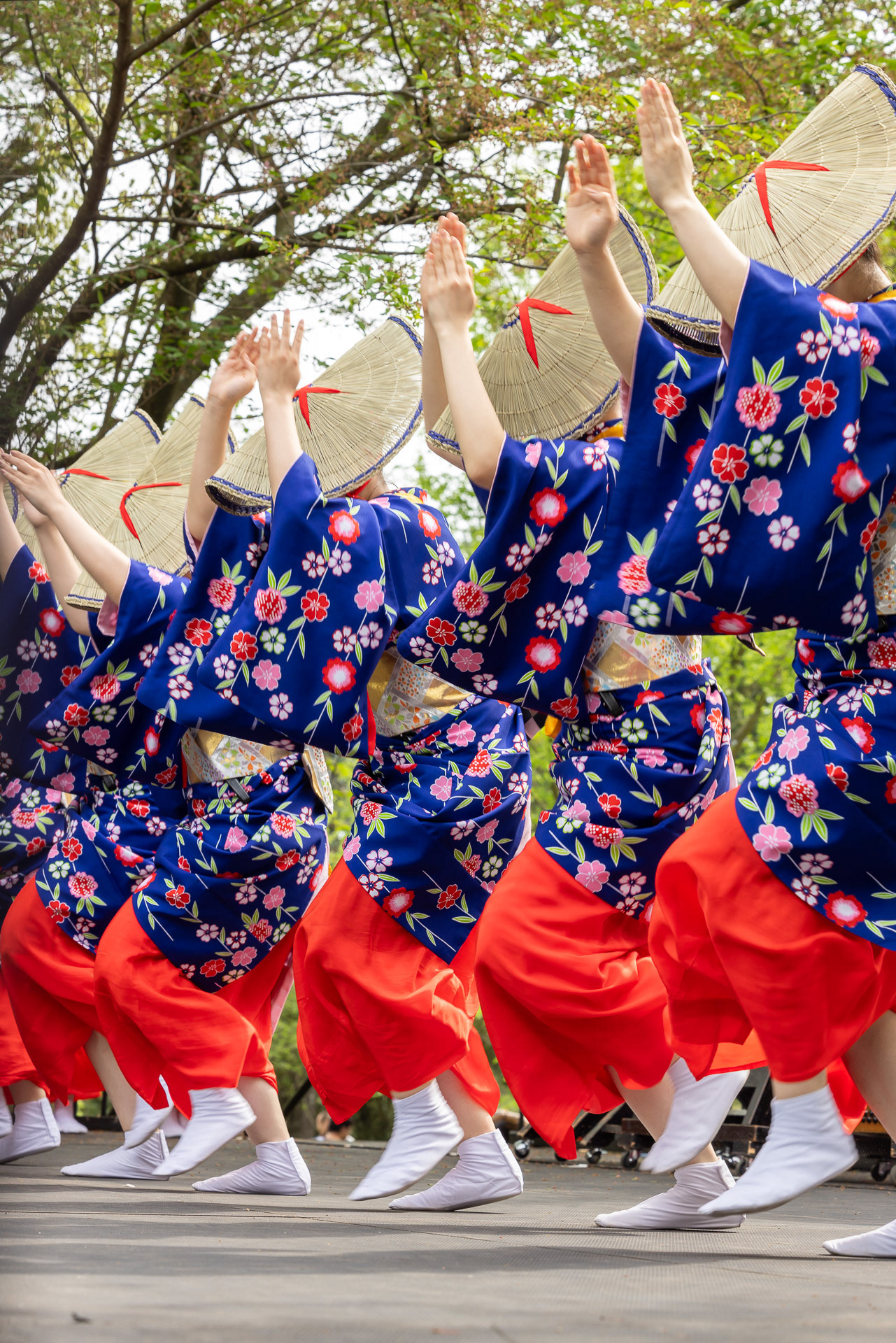 Cherry Blossom Festival 2023. Philadelphia, PA.