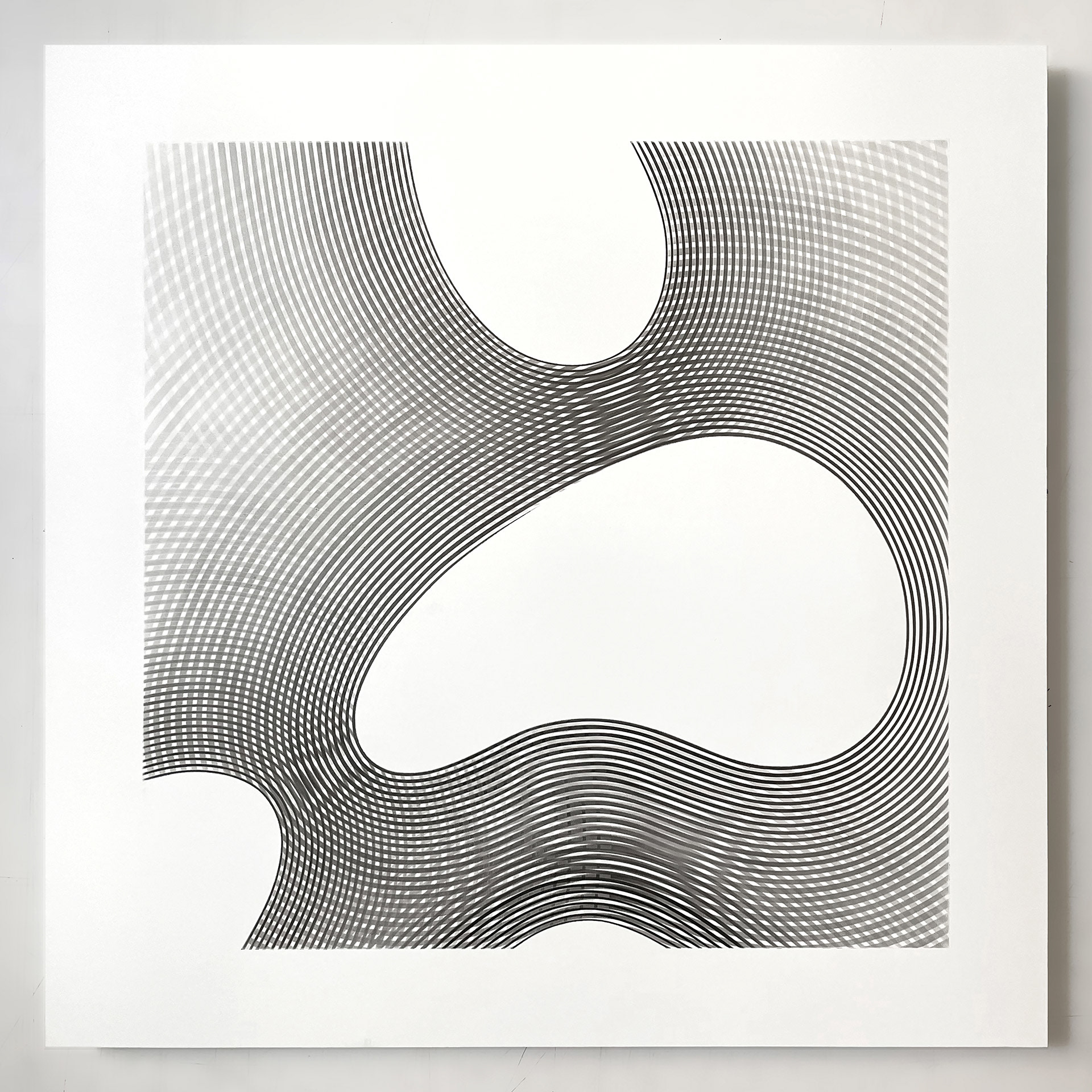 laurent galland, "formes molles dynamisées 5", 2023, dessin au graphite sur dibond, 50x50 cm (collection particulière)