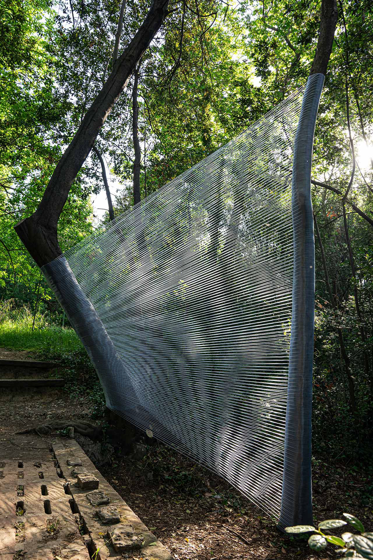 photo Claudia Goletto