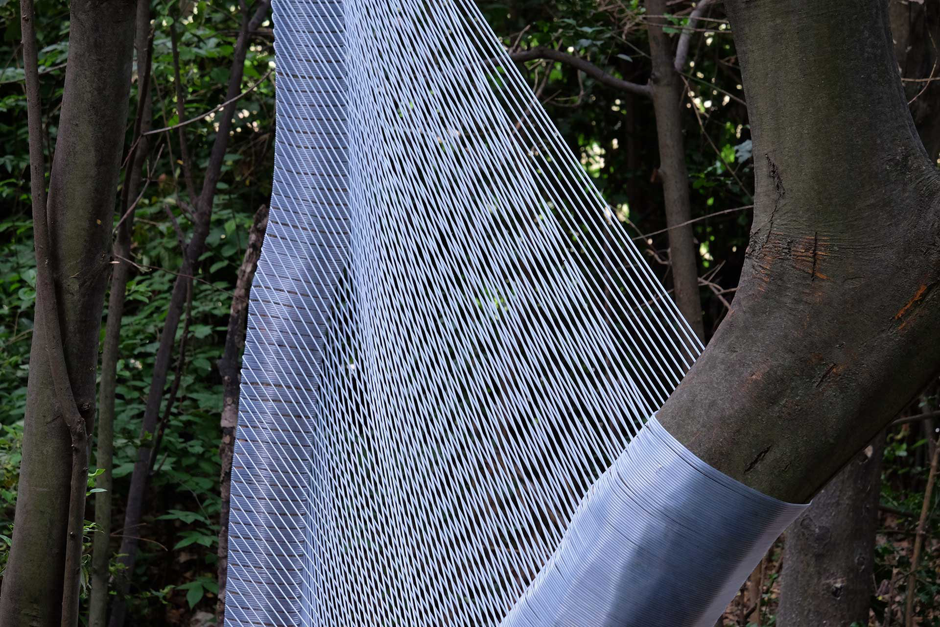 arbres éthérés