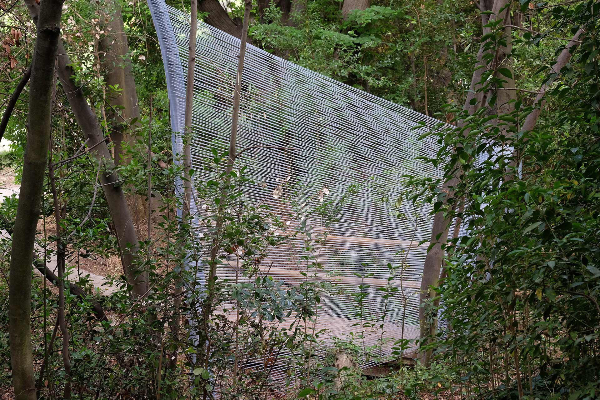 arbres éthérés