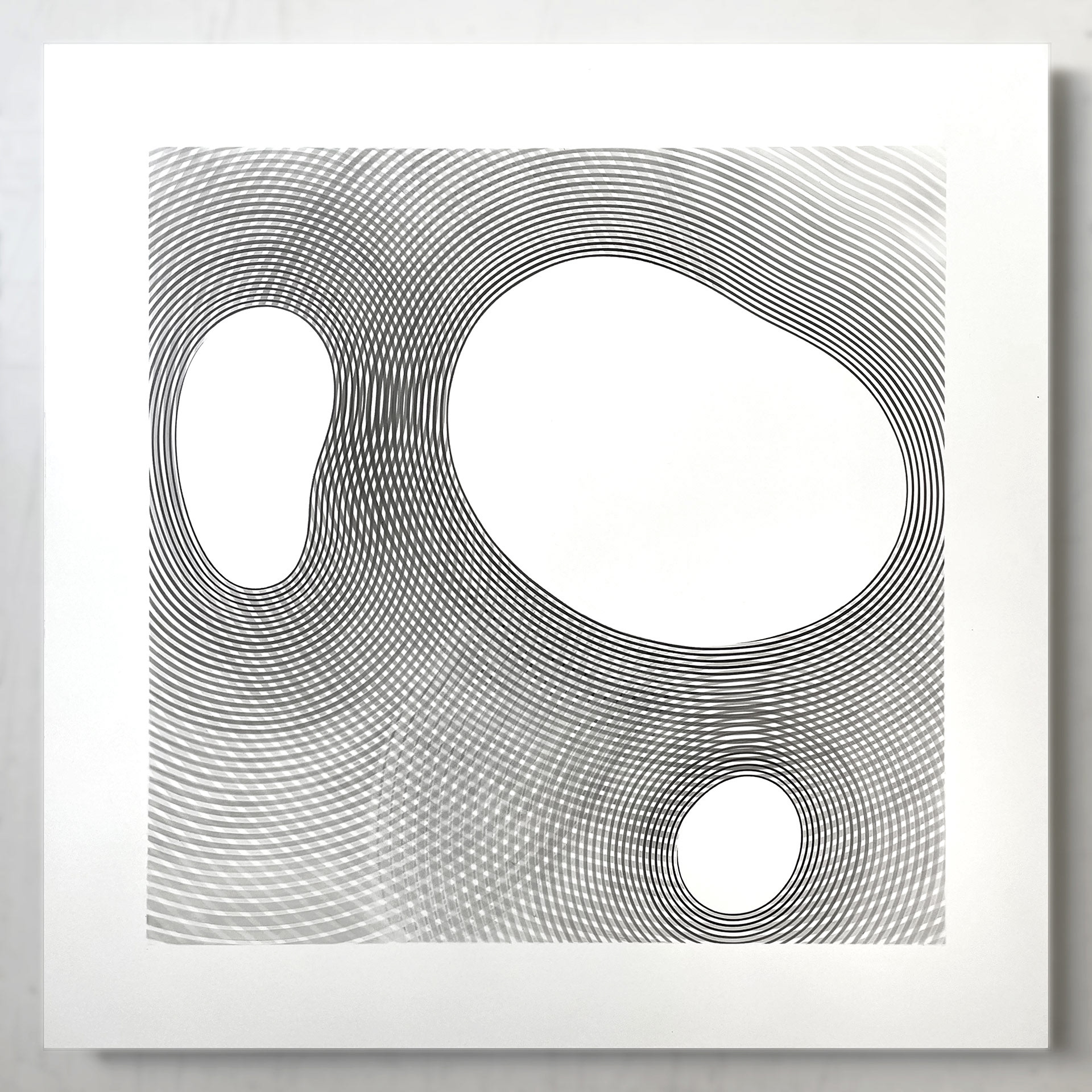 laurent galland, "formes molles dynamisées 3", 2023, dessin au graphite sur dibond, 50x50 cm