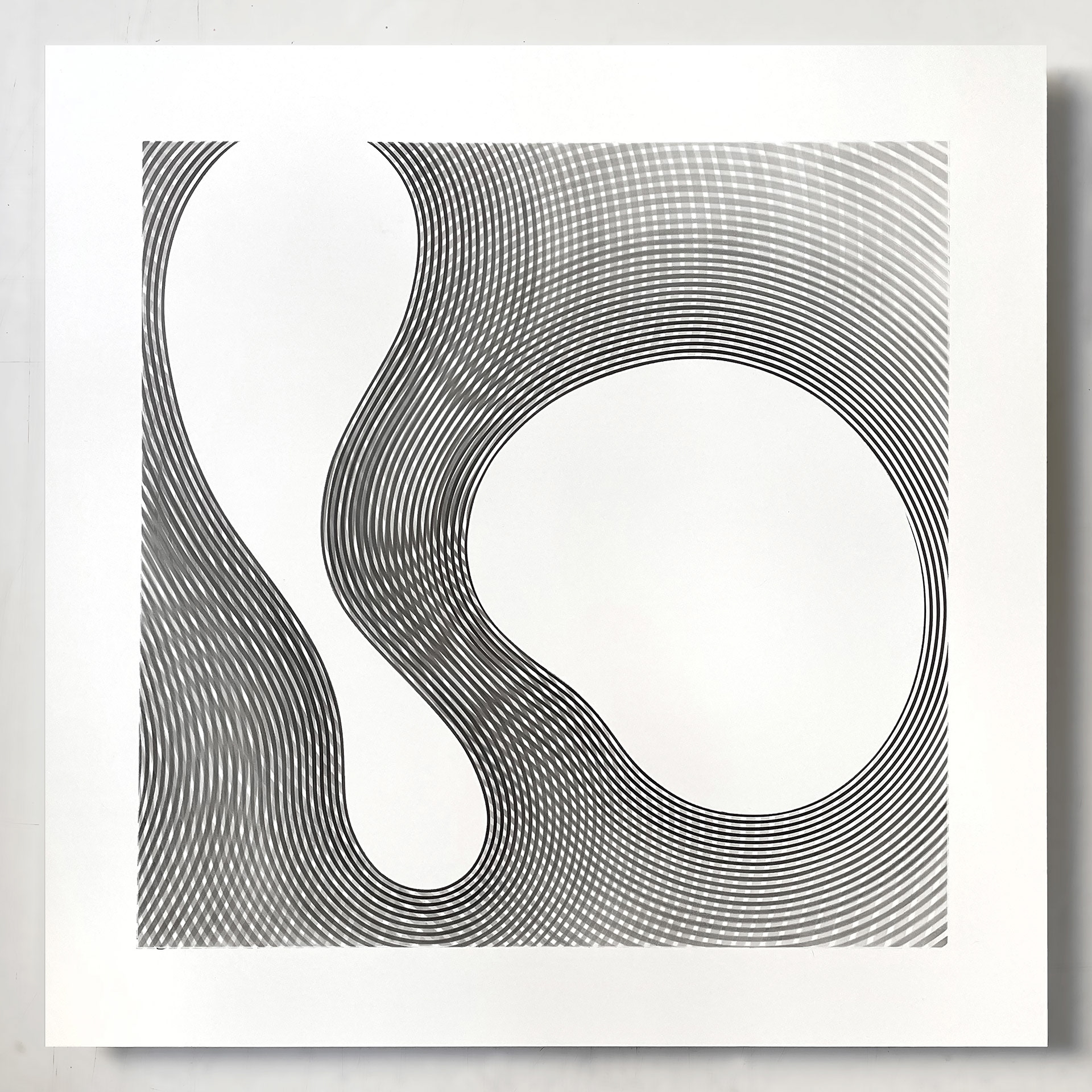 laurent galland, "formes molles dynamisées 6", 2023, dessin au graphite sur dibond, 50x50 cm