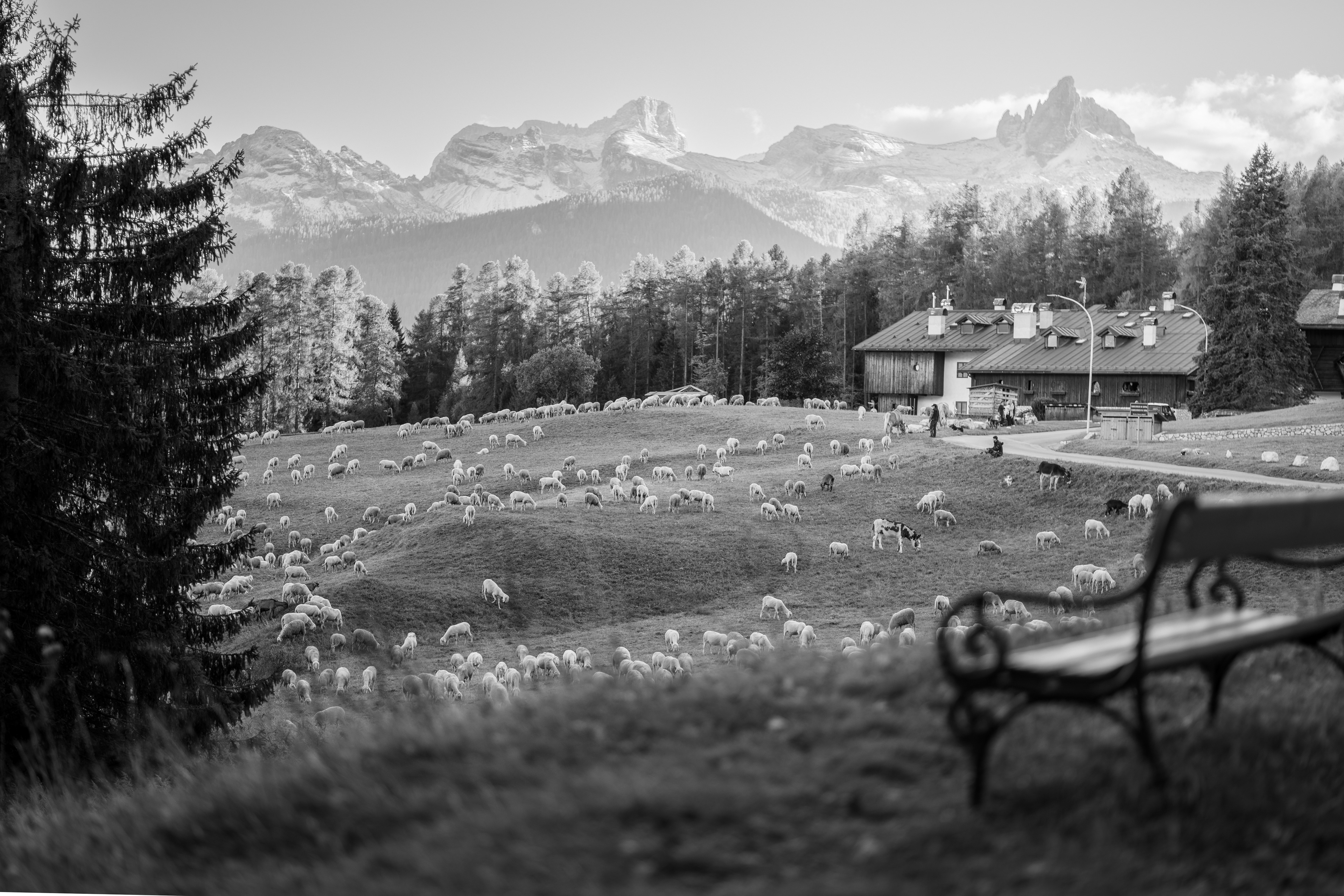 Desmonteà a Cadin