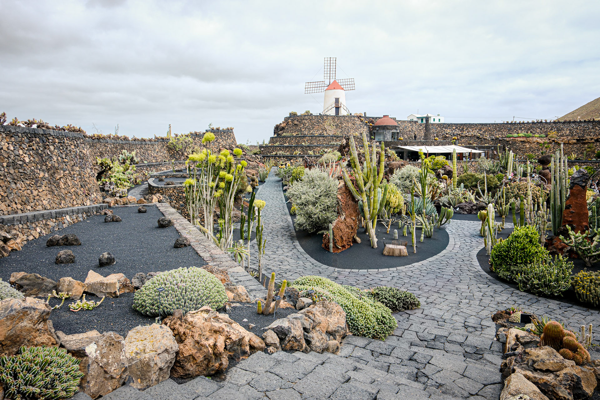 Cactus Garden, Lanzarote