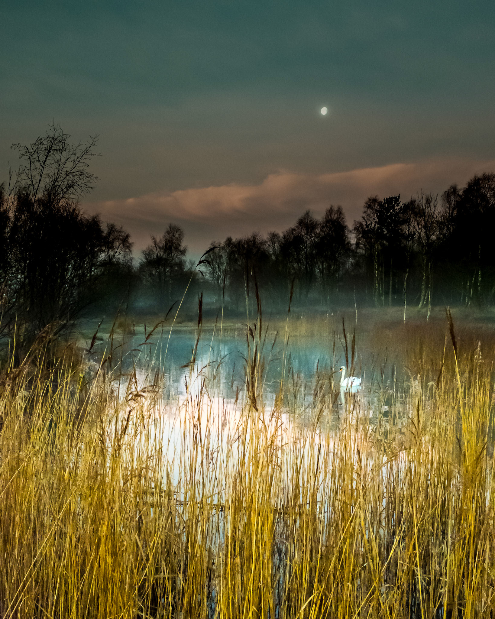 Chasewater Heaths