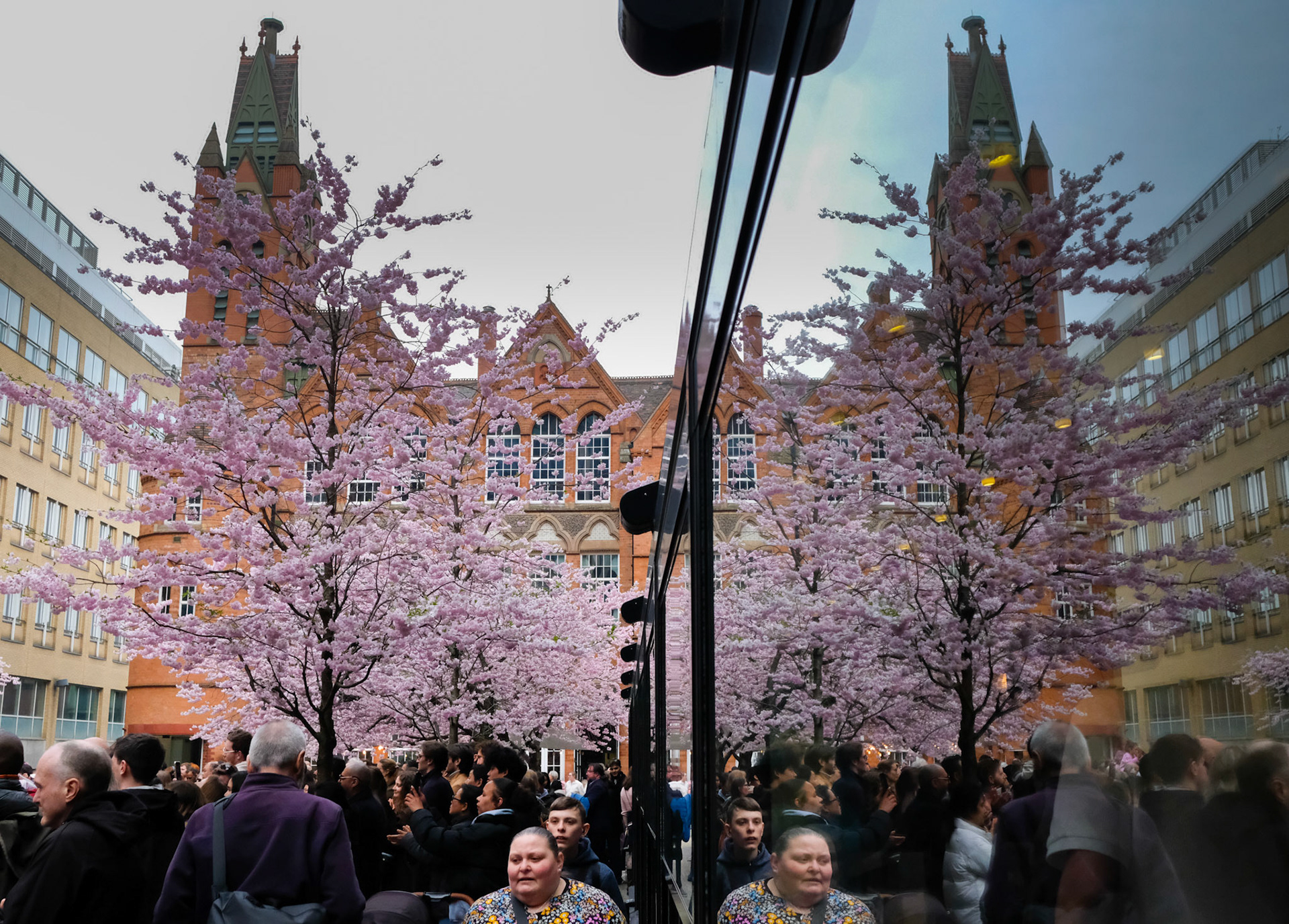Cherry Blossom, Oozells Square