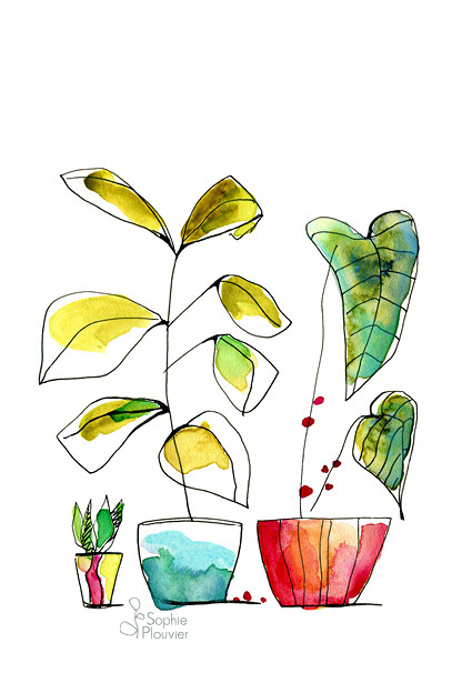 aquarelle Sophie Plouvier