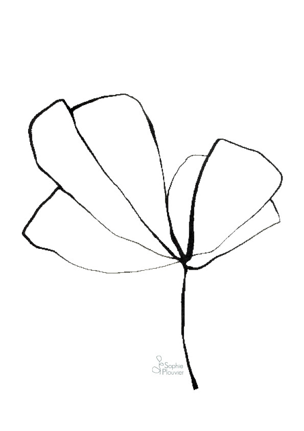 dessin Sophie Plouvier