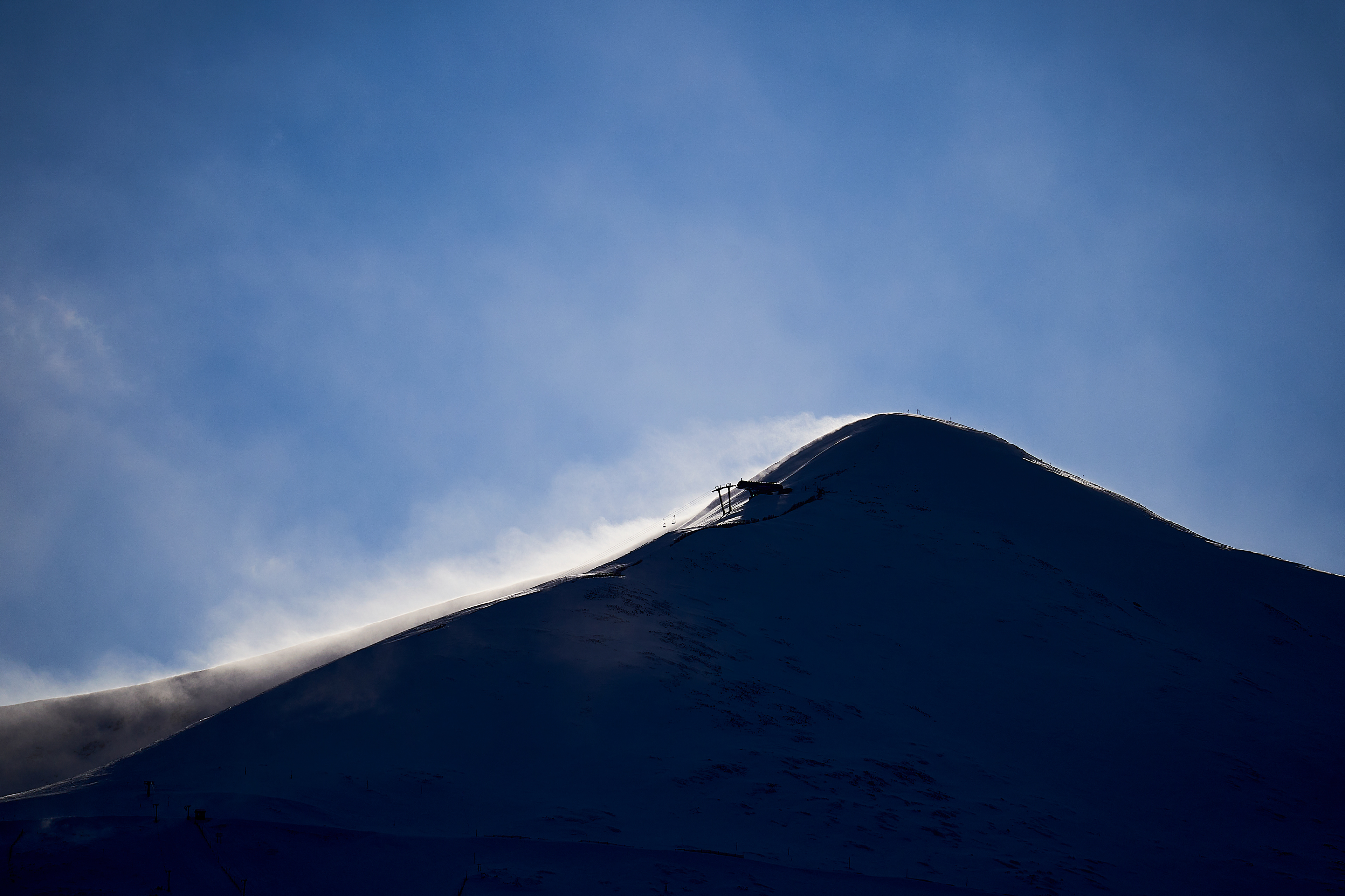 Breezy Blue Bird Day