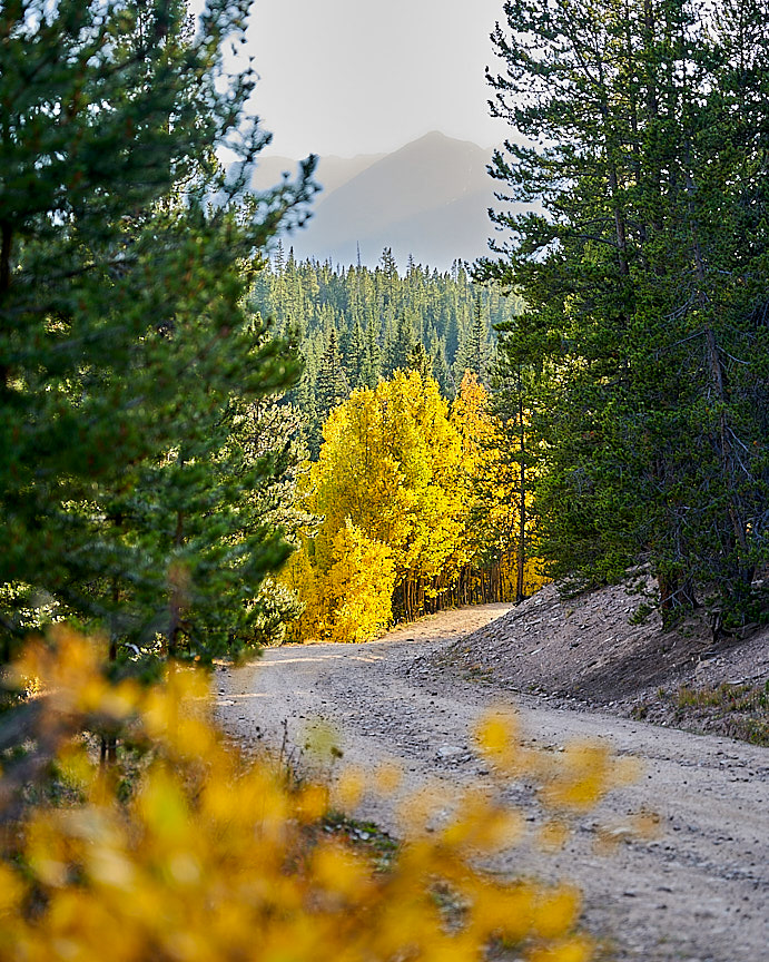 Fall Road