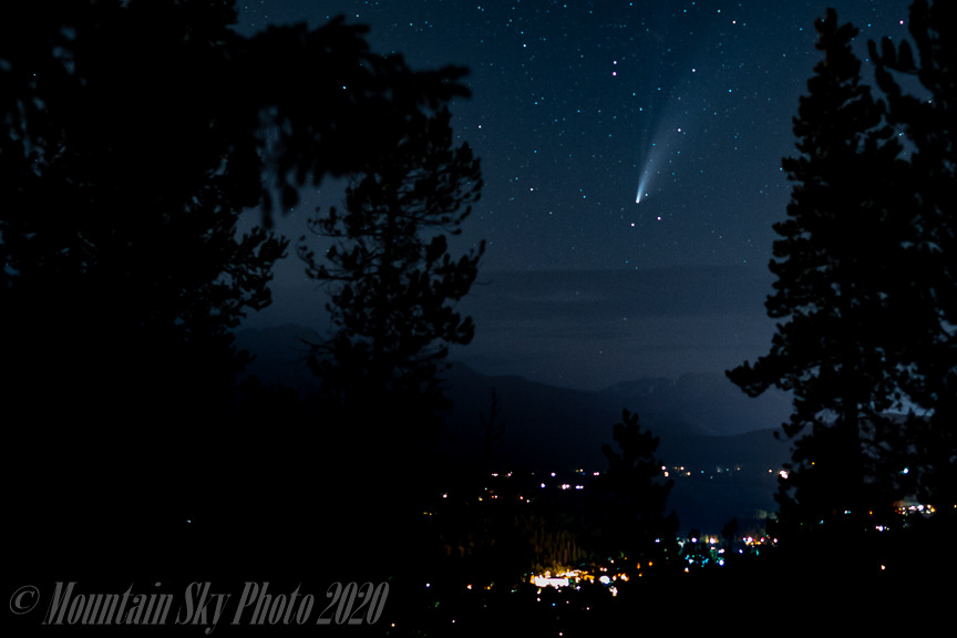 Neowise In The Trees