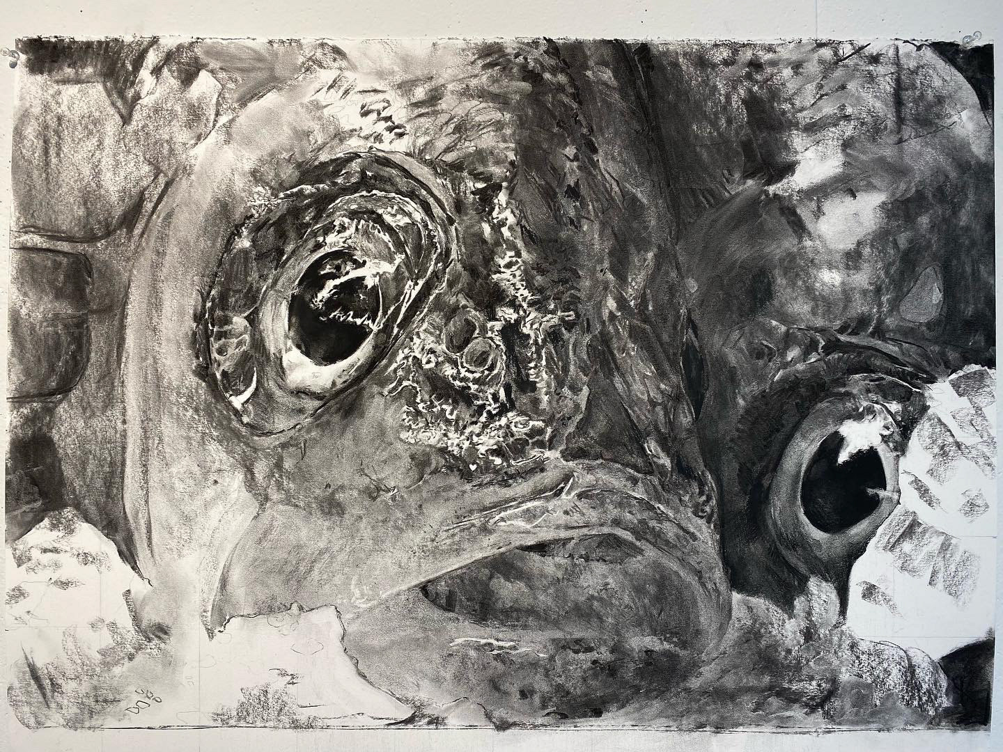 Huey, charcoal on paper, 22" x 30", 2022