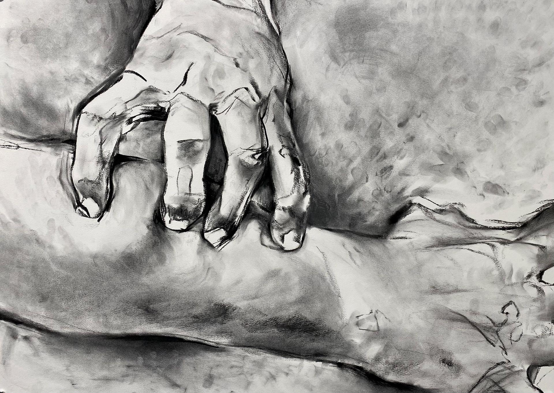 A Professional's Hands, charcoal, 22.5"x30", 2024