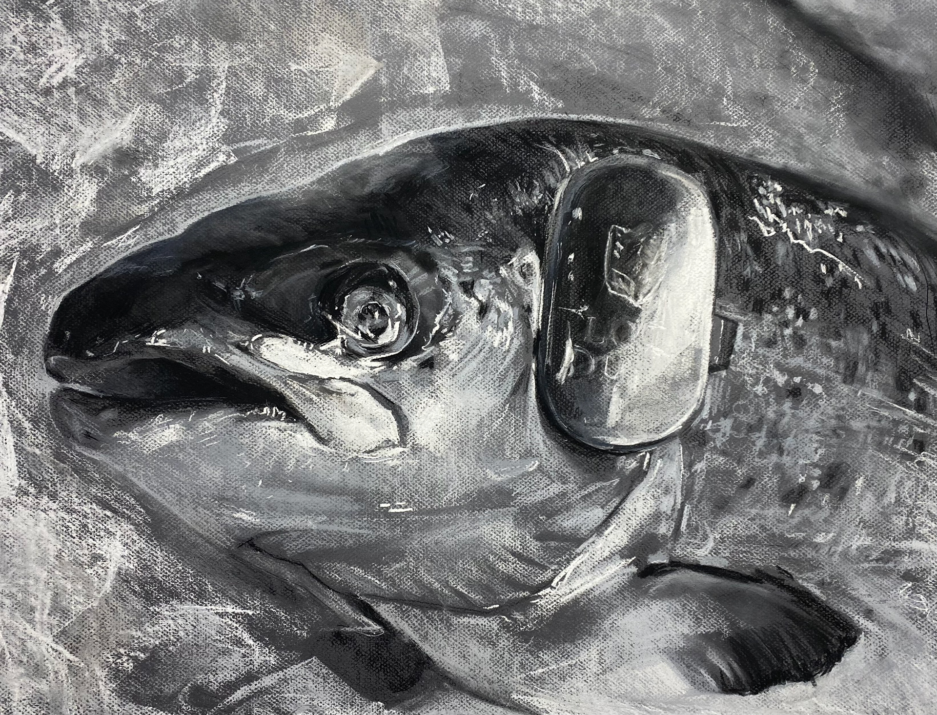 Loch Something or Other, conte and charcoal on paper, 16" x 24", 2023