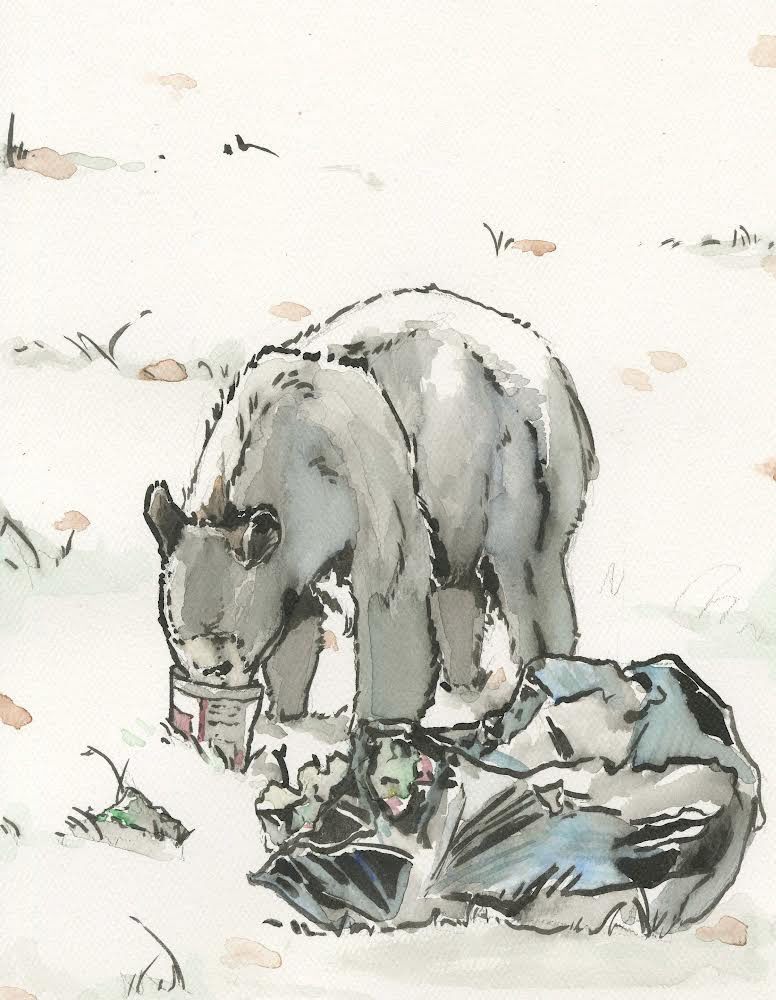 Untitled (bear 2), ink and watercolor on paper, 8" x 10", 2022