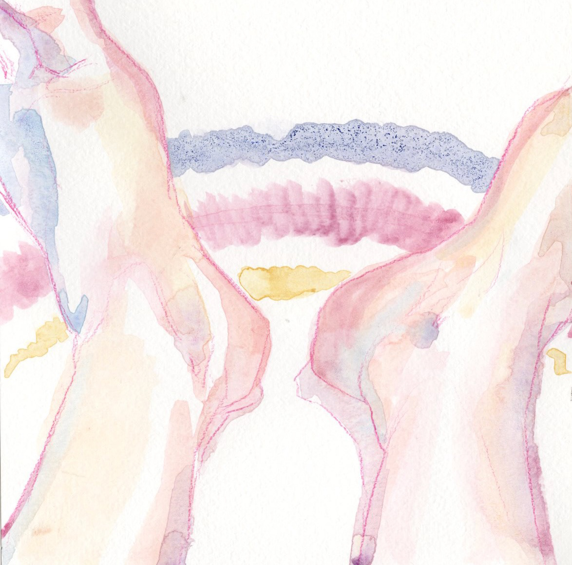 My Dogs, watercolor, colored pencil, 8" x 8", 2024