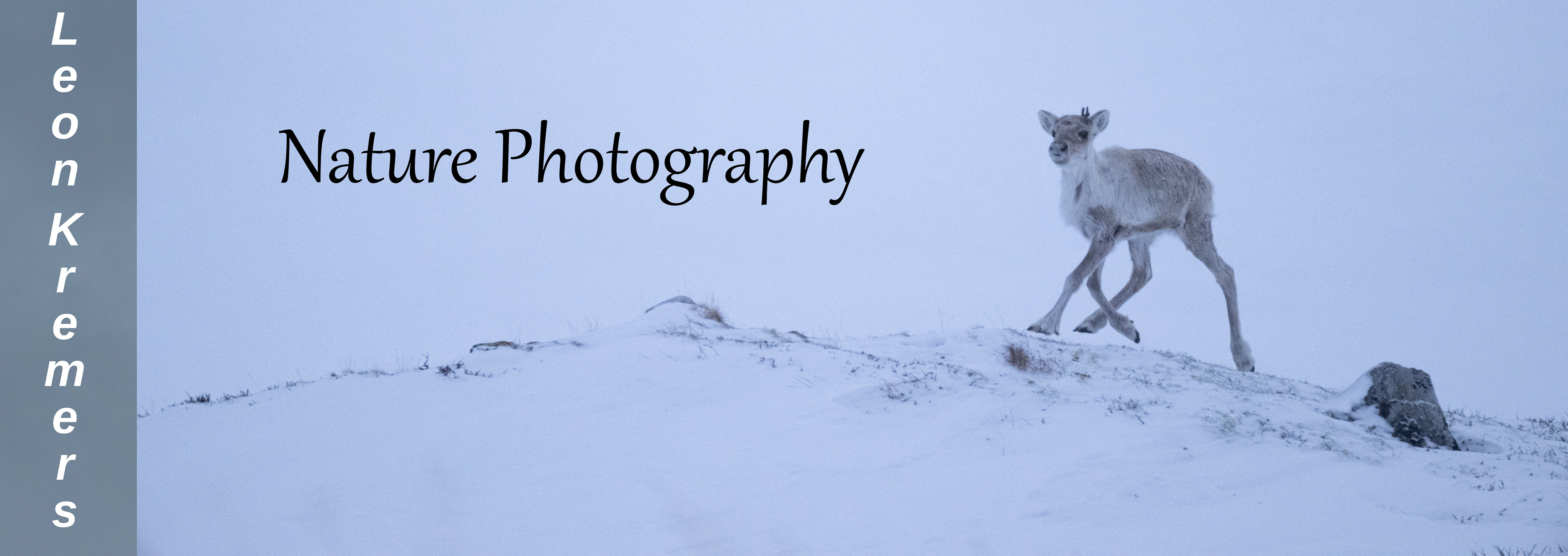 Leon Kremers Nature Photography