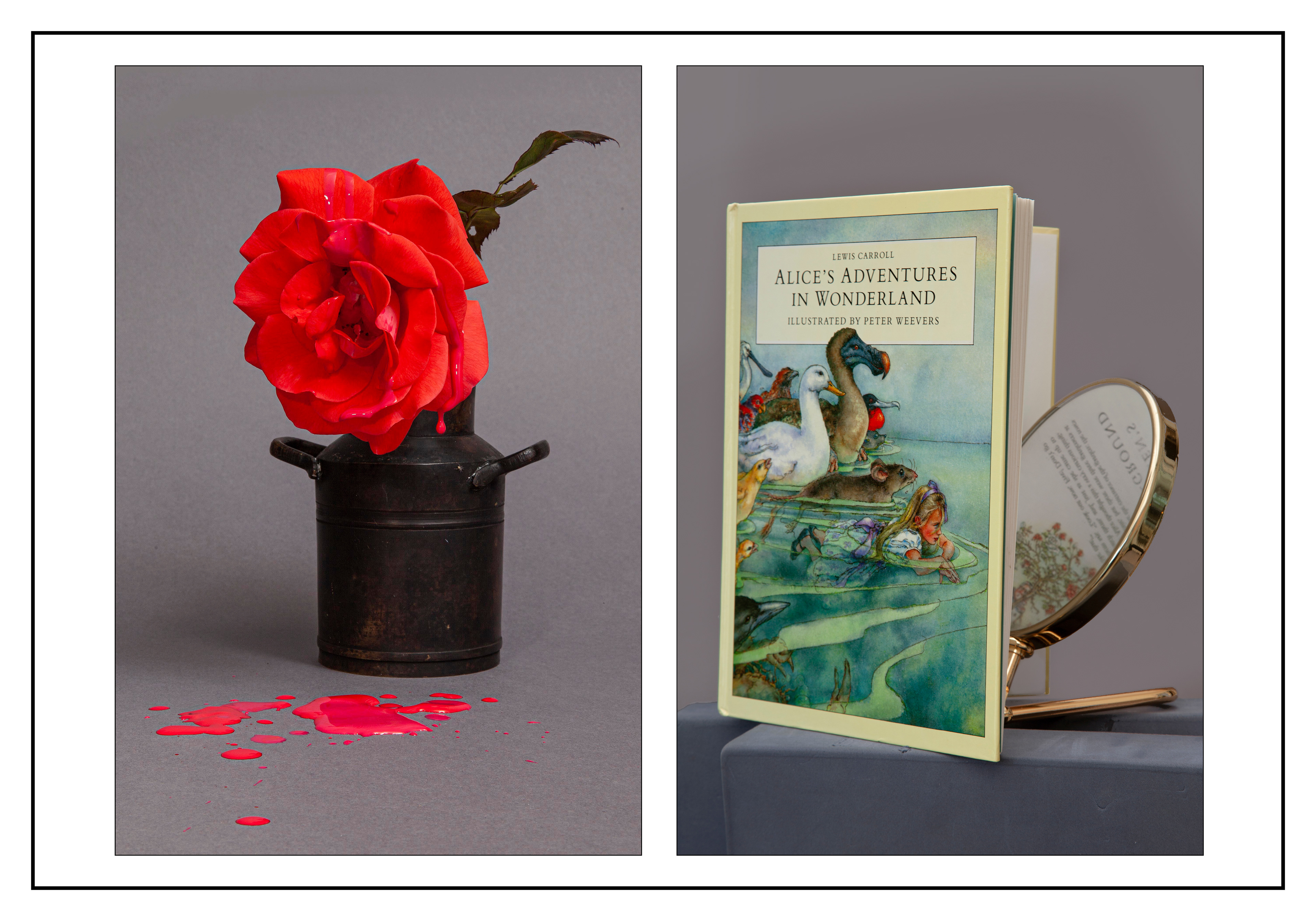 Alice's Adventures in Wonderland 1865
