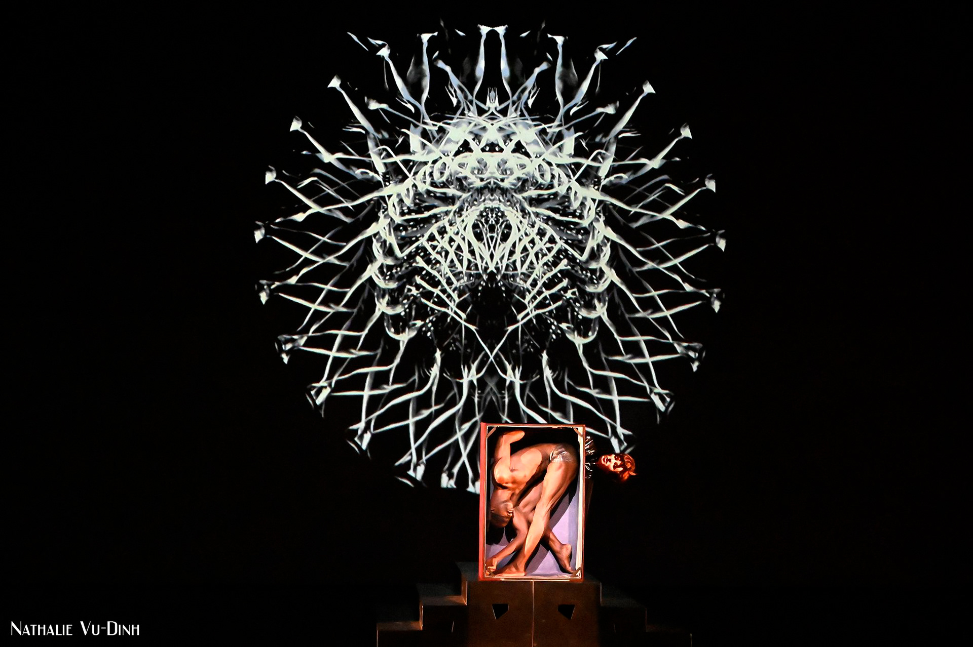 TOUT DOIT DISPARAITRE, Philippe Decouflé - DCA