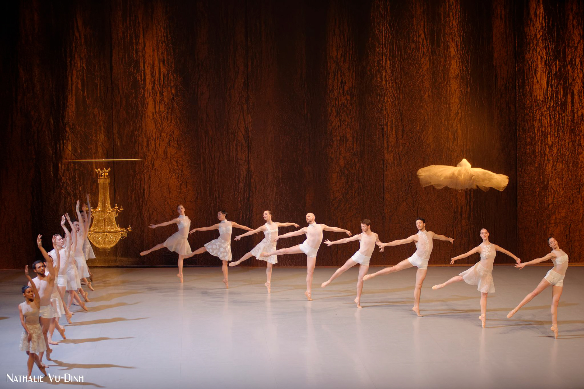 LE LAC DES CYGNES, Radhouane El Meddeb / BON du Rhin