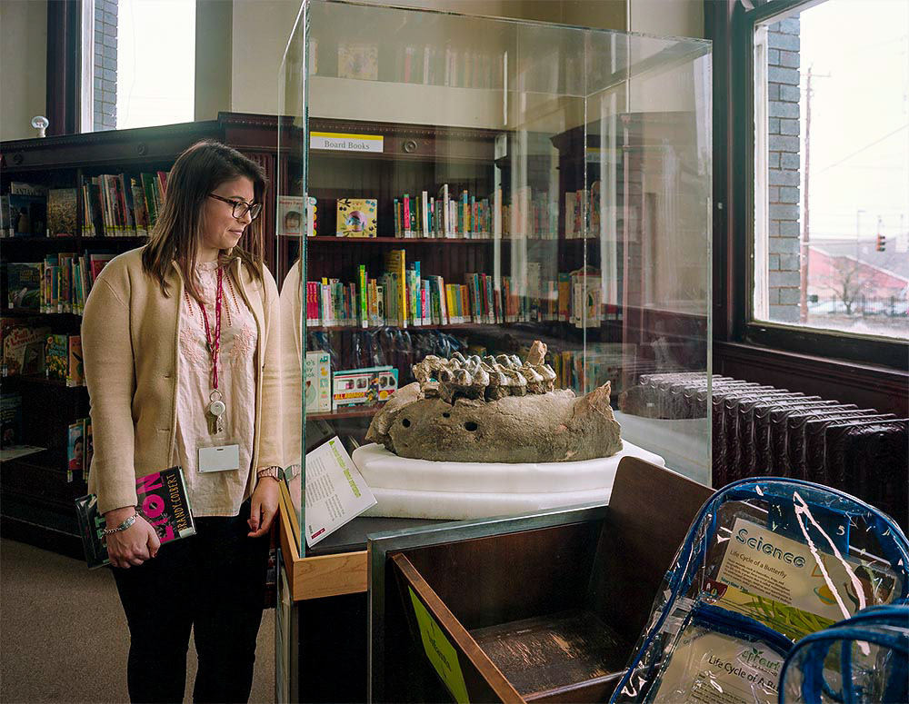 "Little and Lion" Cincinnati OH pop 302,605