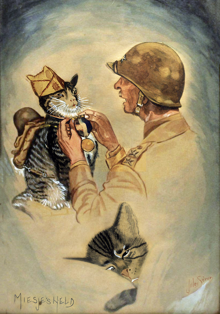French War Cat