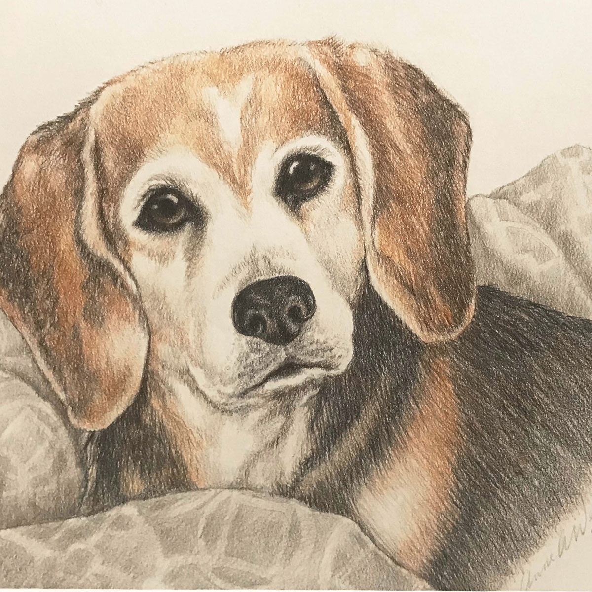 Pencil on Pastelmat