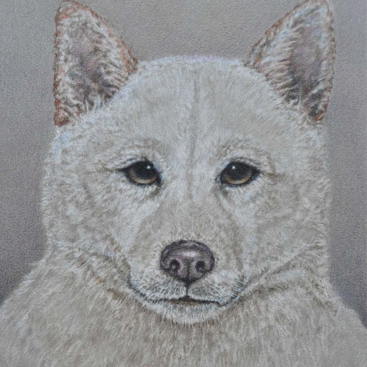 Pencil on Pastelmat