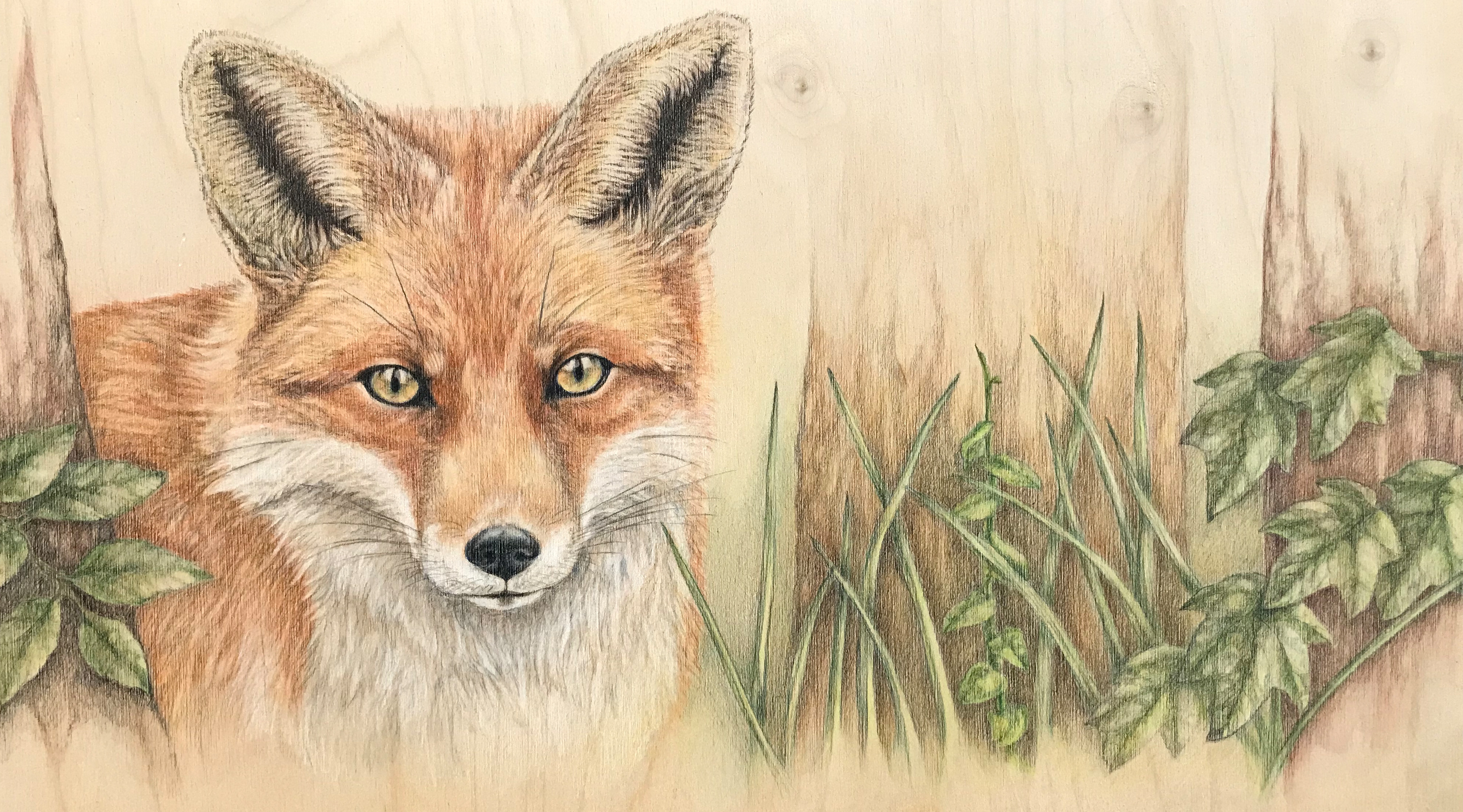 Fox in Trees - Mixed Media (colored pencil, watercolor) on Wood