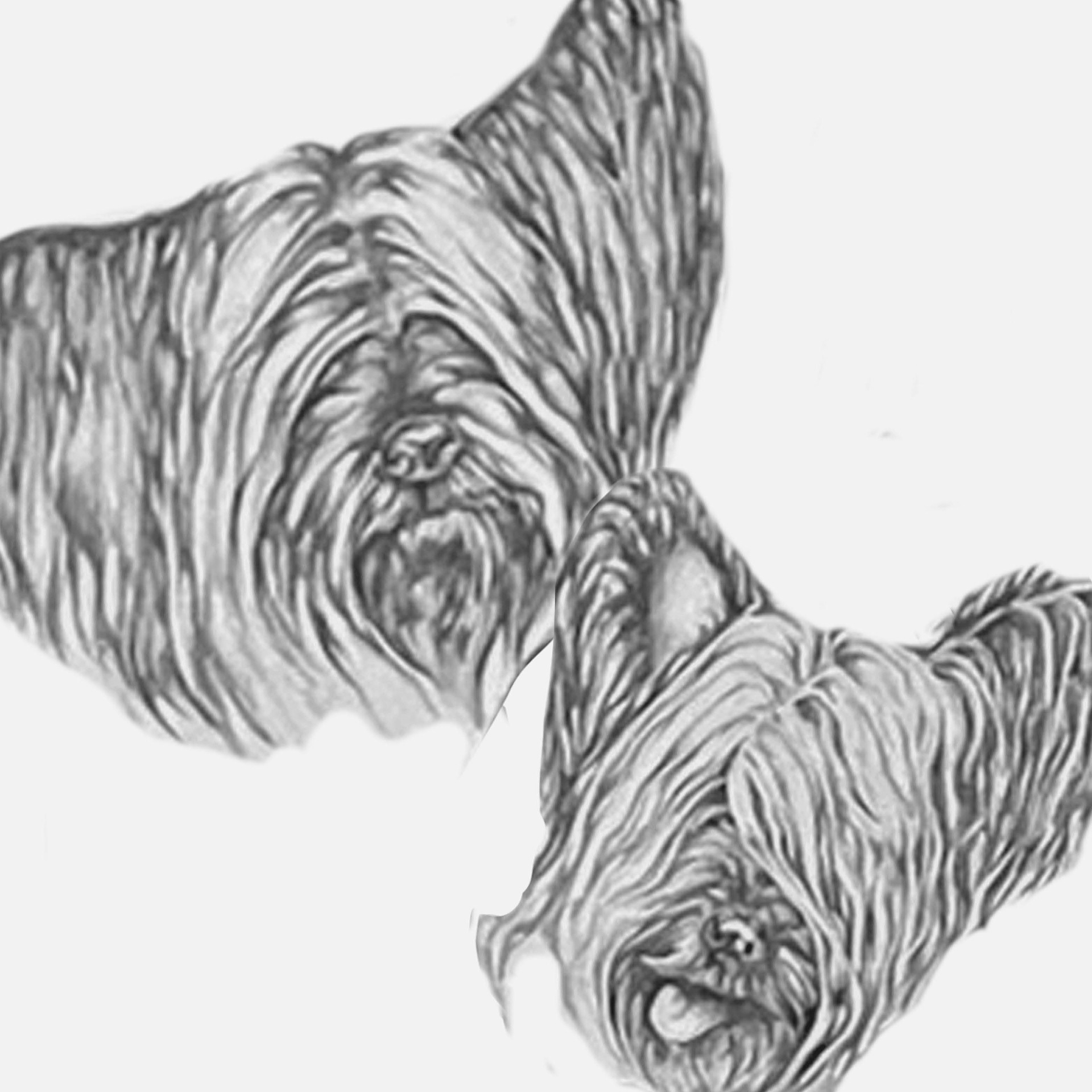 Graphite on Hot Press Board