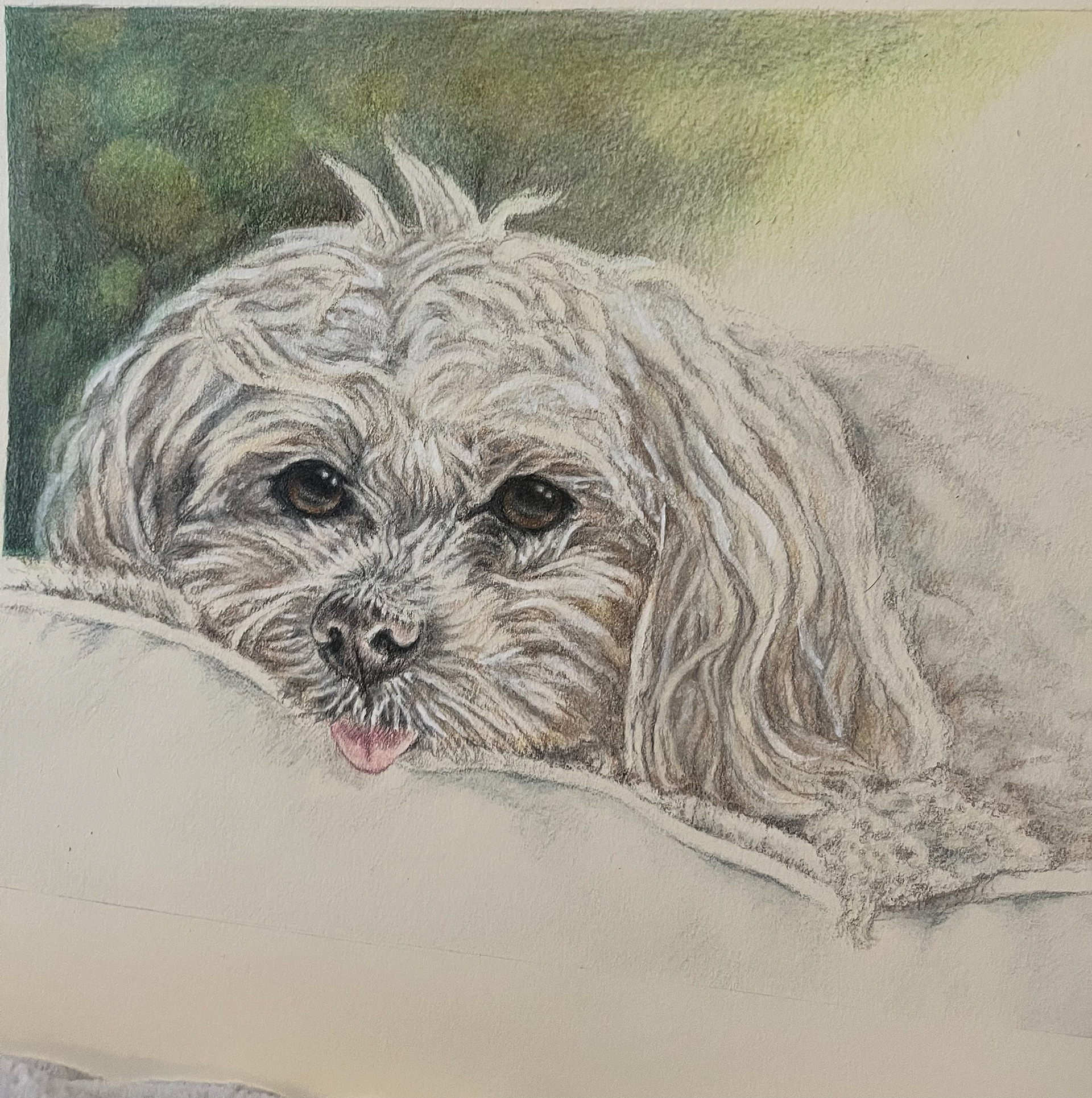 Pencil on Strathmore 400